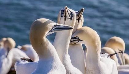 kaiyun-李春郁以领队身份回归永昌：能够回家义不容辞