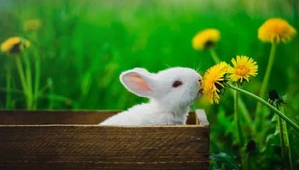 kaiyun-李春郁以领队身份回归永昌：能够回家义不容辞